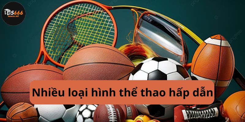 Nhiều loại hình thể thao hấp dẫn